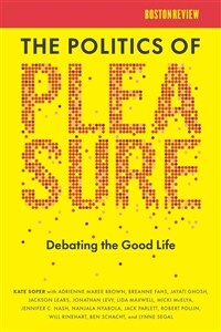 The Politics of Pleasure (Paperback)