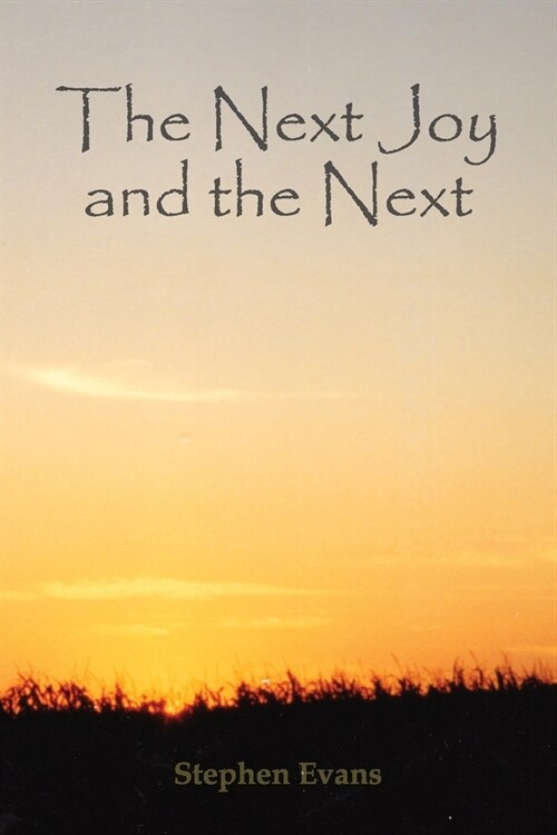 The Next Joy and the Next: A Mythology in Twenty-One Lessons (Paperback)