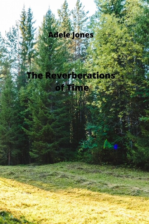 The Reverberations of Time (Paperback)