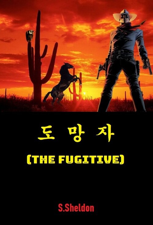 도망자 : The Fugitive