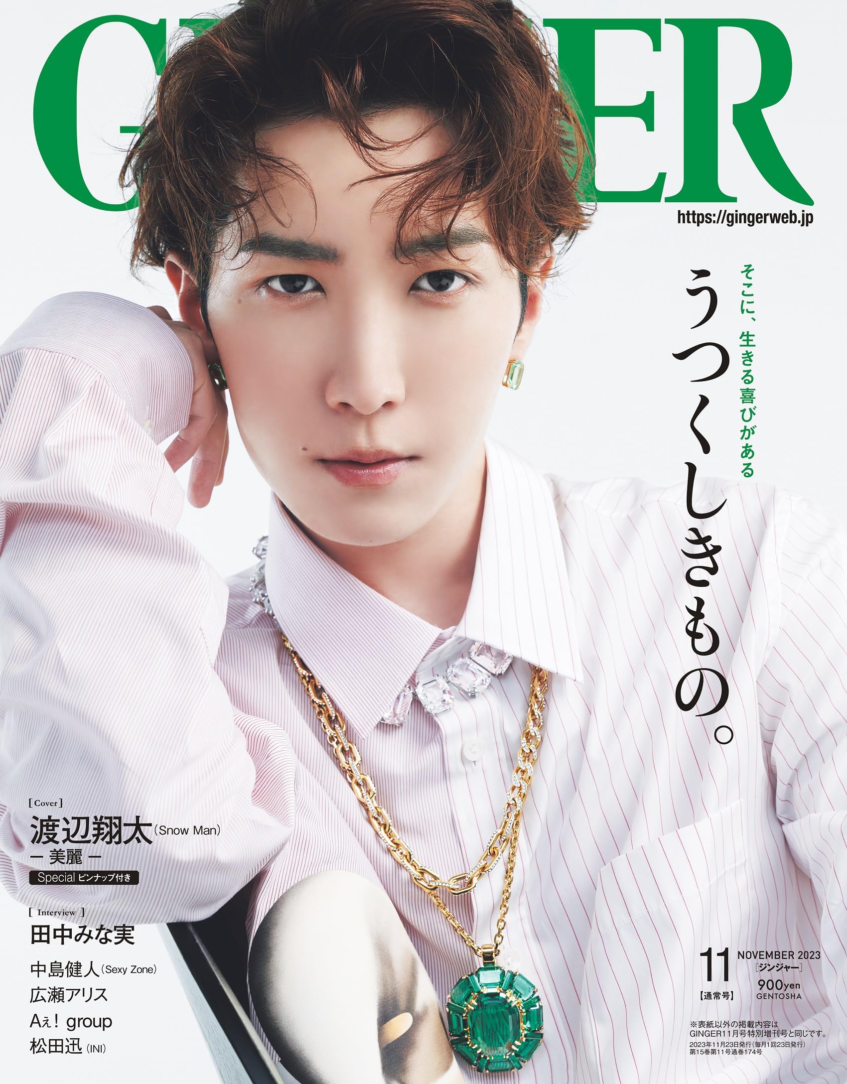 GINGER(ジンジャ-) 2023年 11 月號 [雜誌]