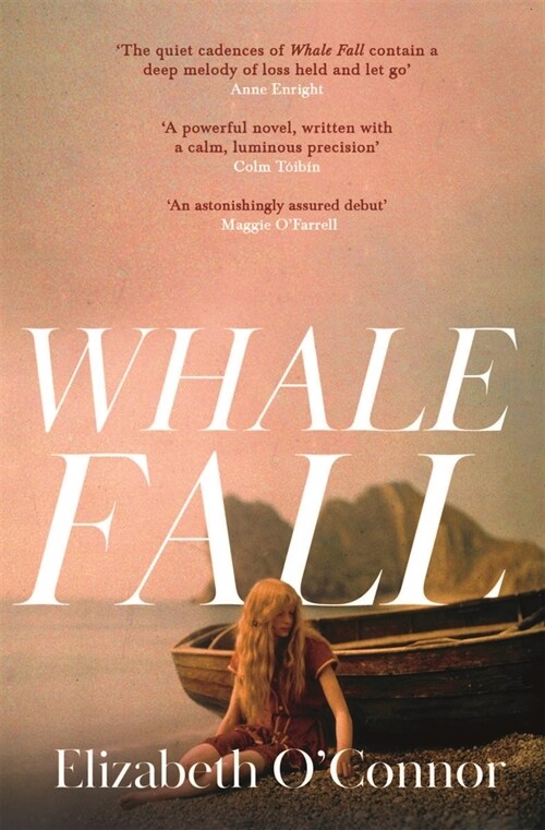 Whale Fall : One of the Observers Top Ten Debuts of 2024 (Hardcover)