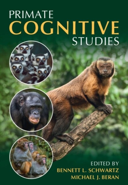 Primate Cognitive Studies (Paperback)