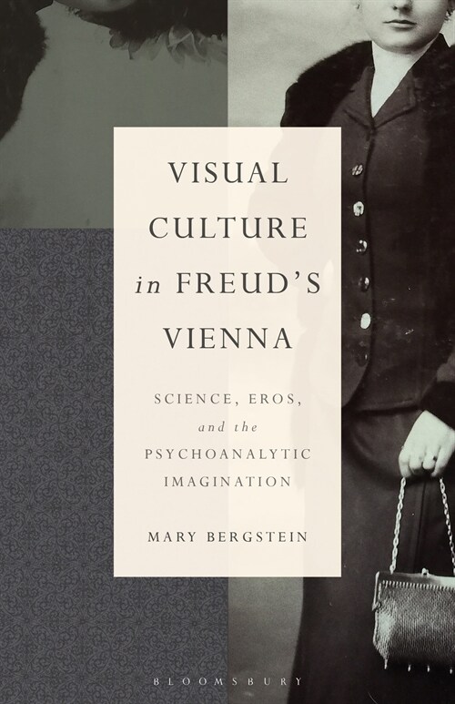 Visual Culture in Freuds Vienna: Science, Eros, and the Psychoanalytic Imagination (Paperback)