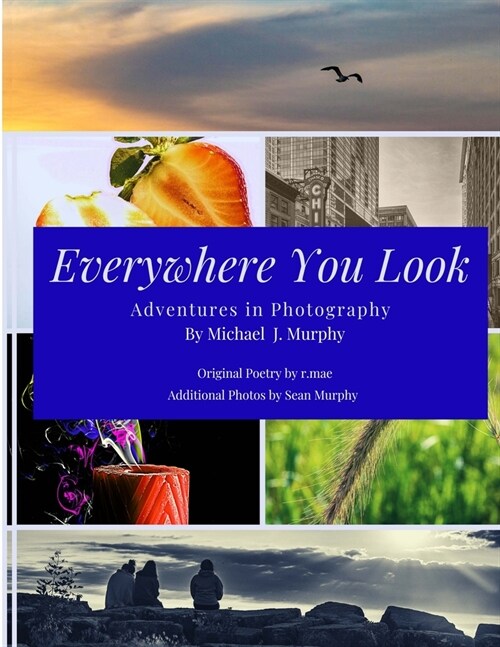 Everywhere You Look: Adventures in Photography (Paperback)