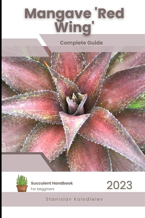 Mangave Red Wing: Succulent Handbook: Complete Guide to Growing Succulent Plant (Paperback)