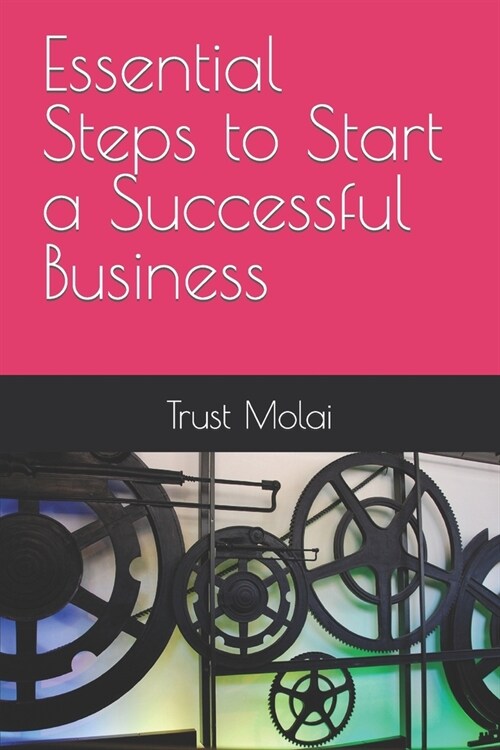 Essential Steps to Start a Successful Business (Paperback)