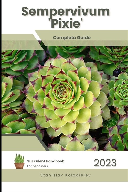 Sempervivum Pixie: Succulent Handbook: Complete Guide to Growing Succulent Plant (Paperback)