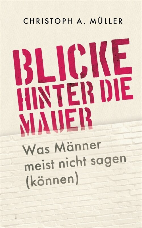 Blicke hinter die Mauer: Was M?ner meist nicht sagen (k?nen) (Paperback)