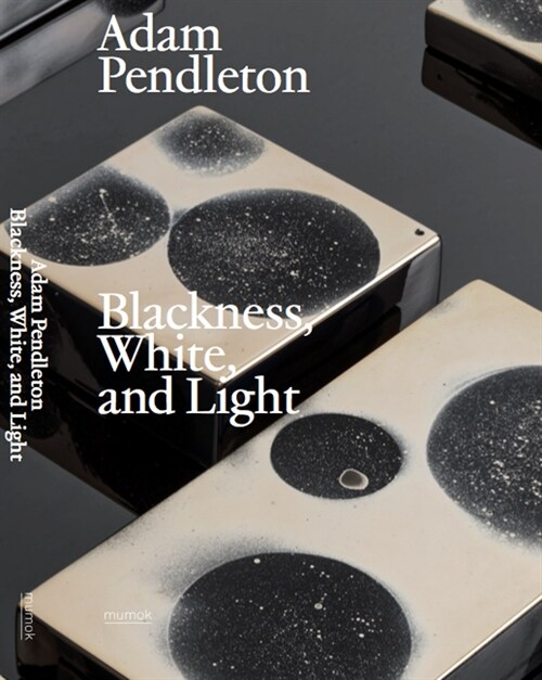 Adam Pendleton: Blackness, White, and Light (Hardcover)