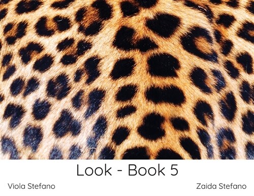 Look - Book 5 (Paperback)