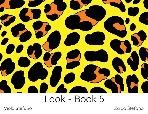 Look - Book 5: VI (Paperback)