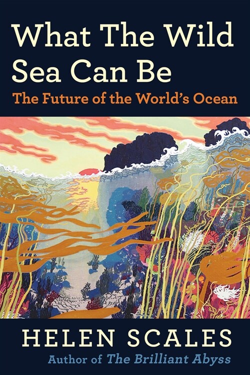 What the Wild Sea Can Be: The Future of the Worlds Ocean (Hardcover)