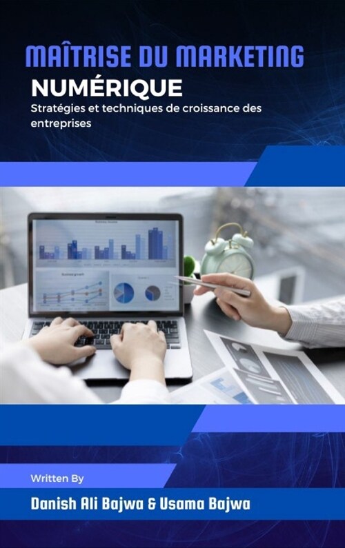 Ma?rise du marketing num?ique: Strat?ies et techniques de croissance des entreprises (Hardcover)