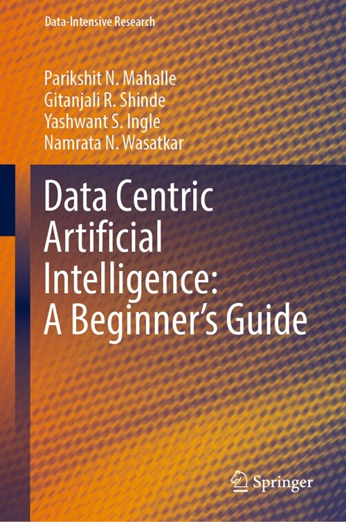 Data Centric Artificial Intelligence: A Beginners Guide (Hardcover, 2023)