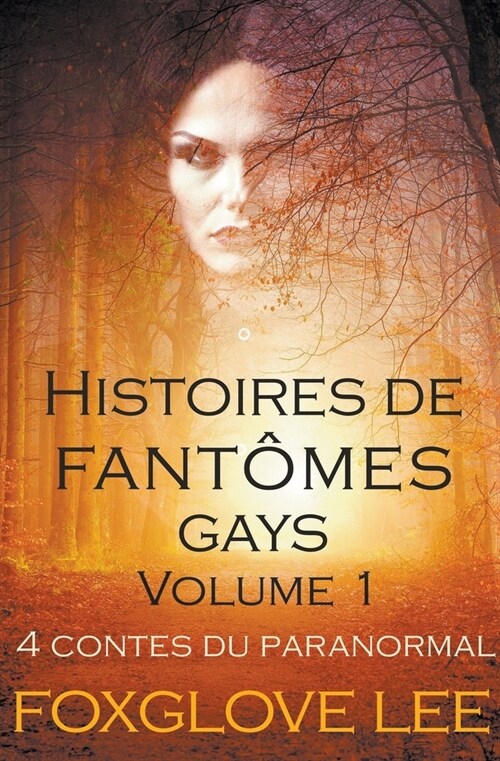 Histoires de fant?es gays volume 1 (Paperback)