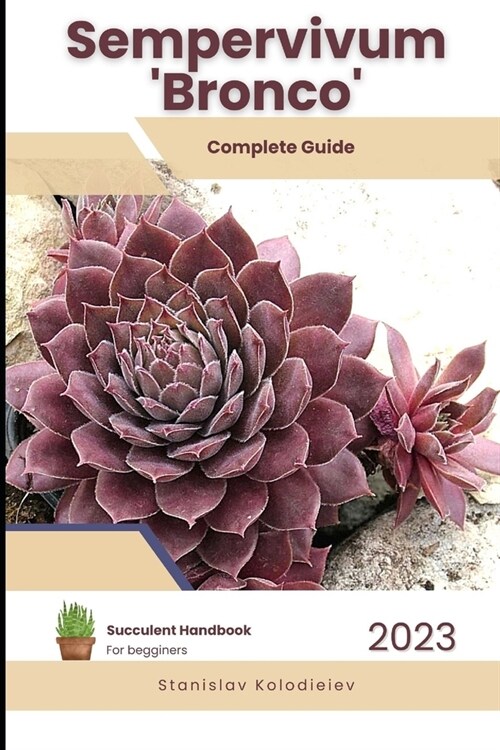 Sempervivum Bronco: Succulent Handbook: Complete Guide to Growing Succulent Plant (Paperback)