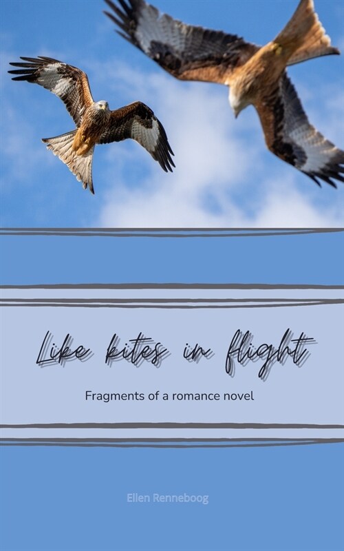 Like Kites in Flight: Fragments of a romance novel (Paperback)