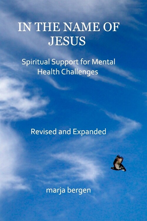 In the Name of Jesus, revised: Spiritual Support for Mental Health Challenges (Paperback)