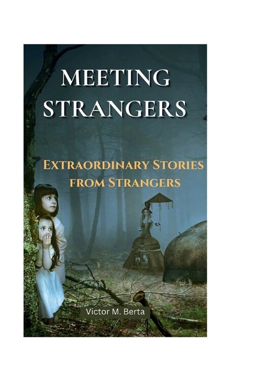 Meeting Strangers: Extraordinary Stories from Strangers (Paperback)