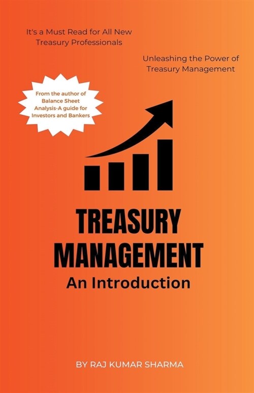 Treasury Management An Introduction (Paperback)