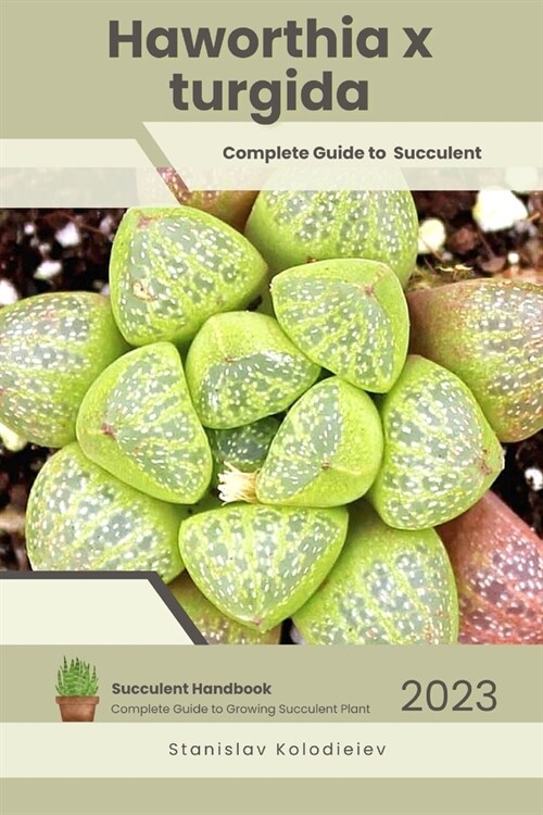 Haworthia x turgida: Succulent Handbook: Complete Guide to Growing Succulent Plant (Paperback)