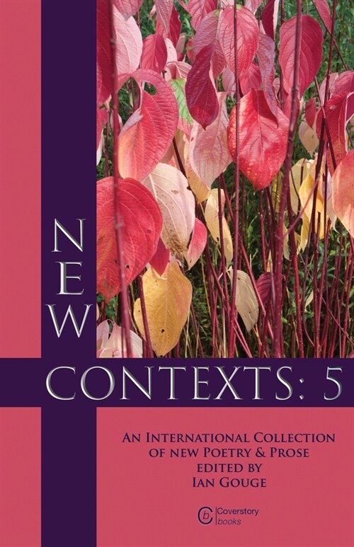 New Contexts: 5 (Paperback)