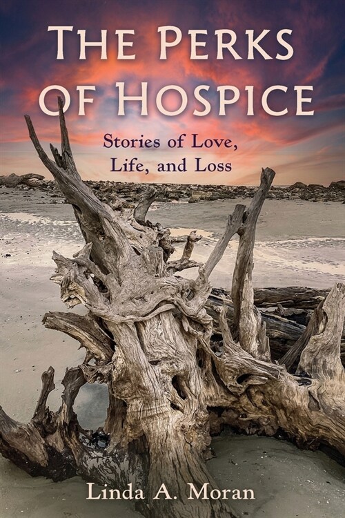 The Perks of Hospice: Stories of Love, Life, and Loss (Paperback)