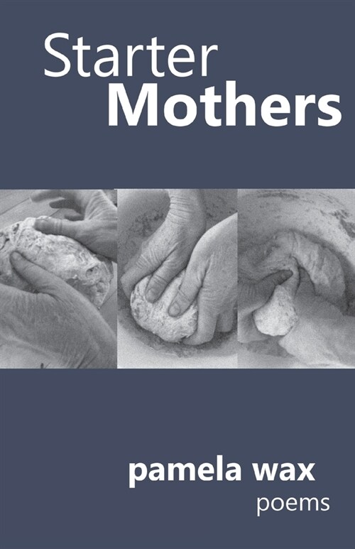 Starter Mothers (Paperback)