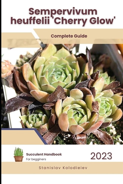 Sempervivum heuffelii Cherry Glow: Succulent Handbook: Complete Guide to Growing Succulent Plant (Paperback)