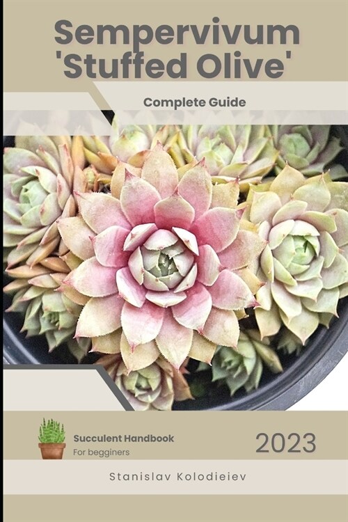 Sempervivum Stuffed Olive: Succulent Handbook: Complete Guide to Growing Succulent Plant (Paperback)