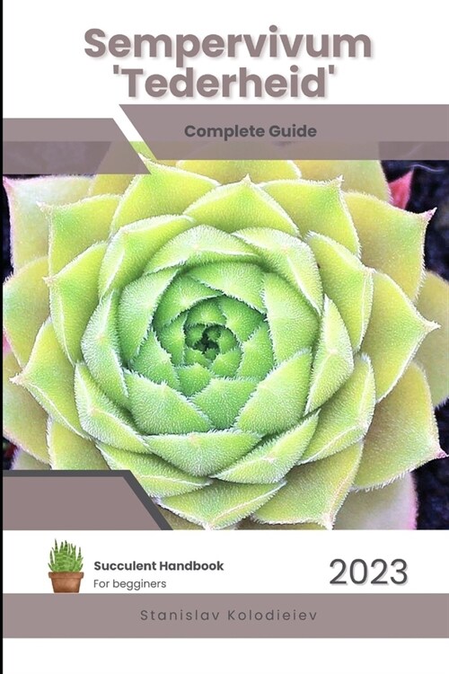 Sempervivum Tederheid: Succulent Handbook: Complete Guide to Growing Succulent Plant (Paperback)