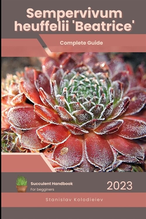 Sempervivum heuffelii Beatrice: Succulent Handbook: Complete Guide to Growing Succulent Plant (Paperback)