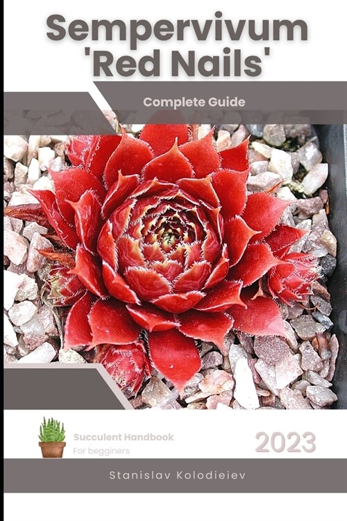 Sempervivum Red Nails: Succulent Handbook: Complete Guide to Growing Succulent Plant (Paperback)