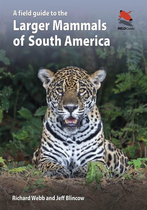 A Field Guide to the Larger Mammals of South America (Paperback)