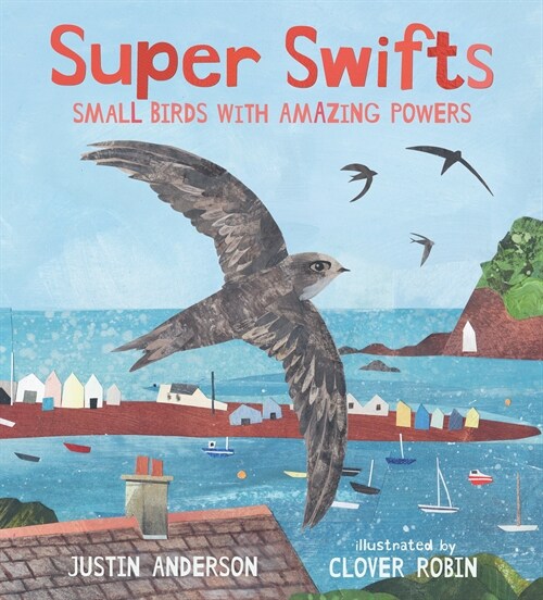 Super Swifts: Small Birds with Amazing Powers (Hardcover)