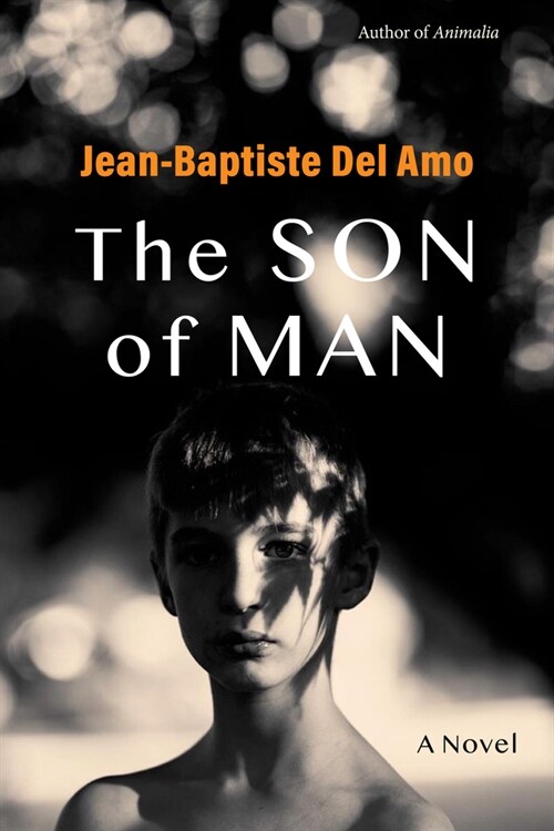 The Son of Man (Hardcover)