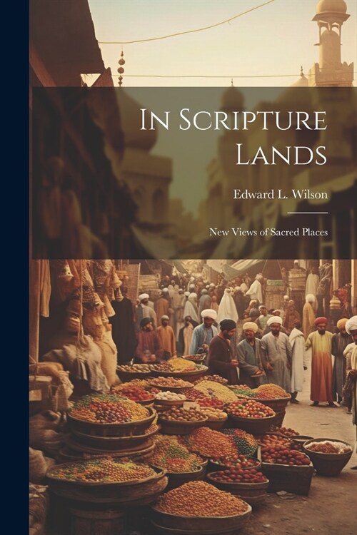 In Scripture Lands: New Views of Sacred Places (Paperback)