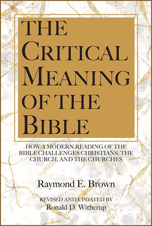 The Critical Meaning of the Bible: How a Modern Reading of the Bible Challenges Christians the Church (Paperback)