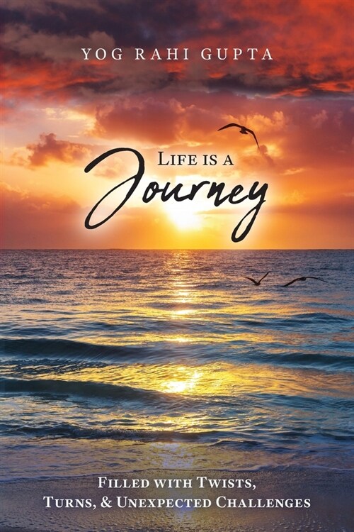 Life is a Journey: Filled with Twists, Turns & Unexpected Challenges (Paperback)