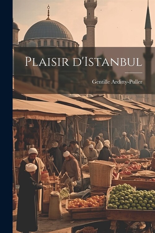 Plaisir dIstanbul (Paperback)
