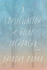 A Constellation of Vital Phenomena (Paperback)