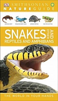 Nature Guide: Snakes and Other Reptiles and Amphibians: The World in Your Hands (Paperback)