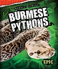 Burmese Pythons (Library Binding)