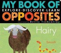 My Book of Opposites (Board Books)