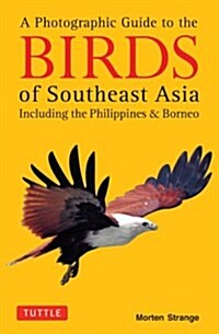 A Photographic Guide to the Birds of Southeast Asia: Including the Philippines and Borneo (Paperback)