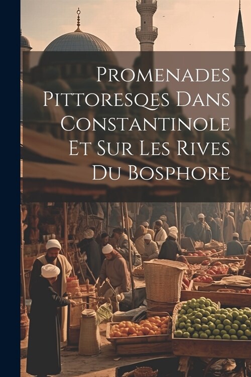 Promenades Pittoresqes Dans Constantinole Et Sur Les Rives Du Bosphore (Paperback)
