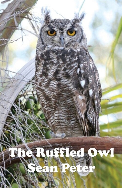 The Ruffled Owl (Paperback)