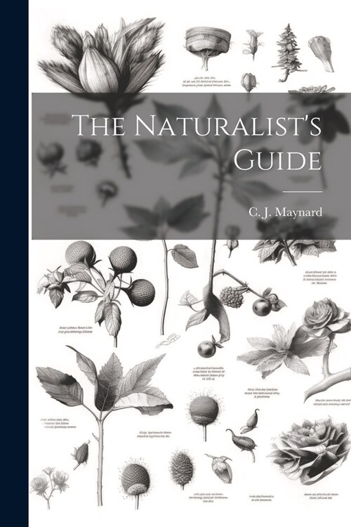 The Naturalists Guide (Paperback)