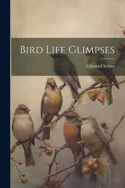 Bird Life Glimpses (Paperback)